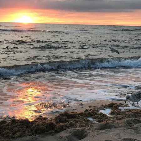 Haus-lazy-dolphin-wohnung-2 *